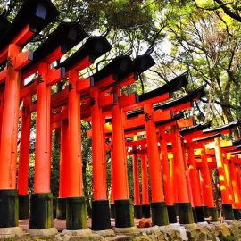 Paket Tour ke Jepang Juli 2023