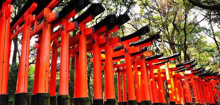 Paket Tour Jepang Agustus