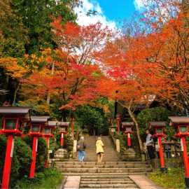Paket Tour ke Jepang September 2023