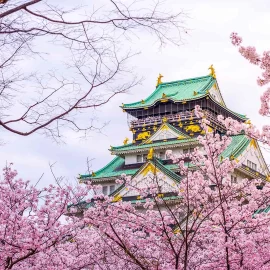Paket Wisata Liburan ke Jepang Maret 2024