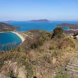 Paket Wisata Liburan ke Jepang November 2024