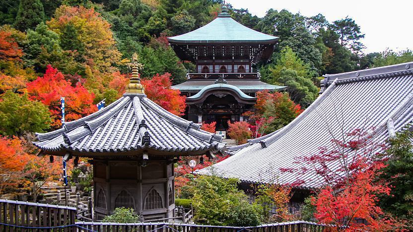 Paket Wisata Liburan ke Jepang November 2024